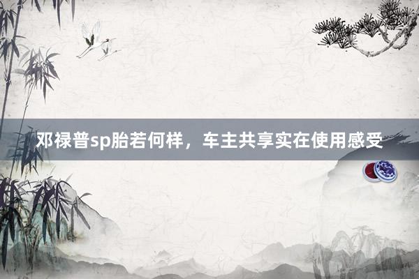 邓禄普sp胎若何样，车主共享实在使用感受